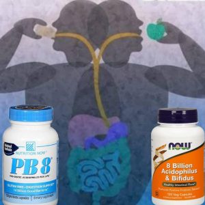 PROBIÓTICO E PRÉBIOTICO, O QUE SÃO E PARA QUE SERVEM